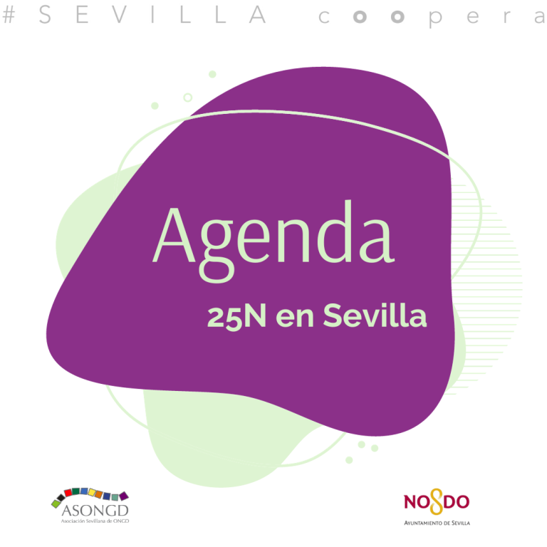Agenda #25N en Sevilla: actividades, movilizaciones y recursos