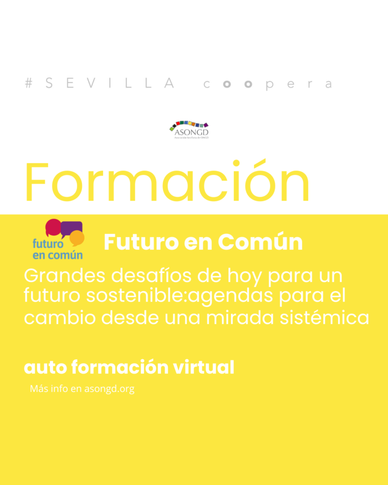 Desde Futuro en Común lanzan "Grandes desafíos de hoy para un futuro sostenible: agendas para el cambio desde una mirada sistémica"