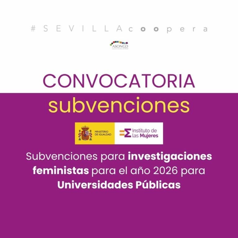 Convocatoria subvenciones para la realización de investigaciones feministas para el año 2026 para Universidades Públicas
