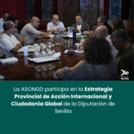 La ASONGD participa en la Estrategia Provincial de Acción Internacional y Ciudadanía Global de la Diputación de Sevilla.