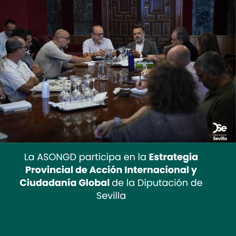La ASONGD participa en la Estrategia Provincial de Acción Internacional y Ciudadanía Global de la Diputación de Sevilla.