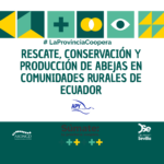 La provincia Coopera II: Rescate, conservación y producción de abejas en comunidades rurales de Ecuador con Fundación APY