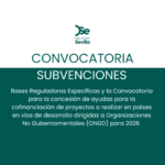 Convocatoria de subvenciones para ONGD 2026 de la Diputación de Sevilla